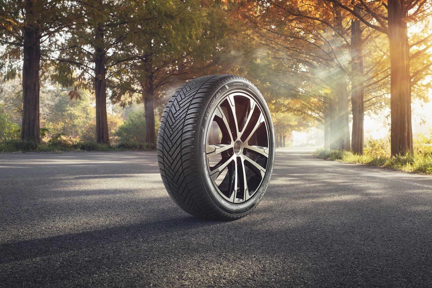 hankook